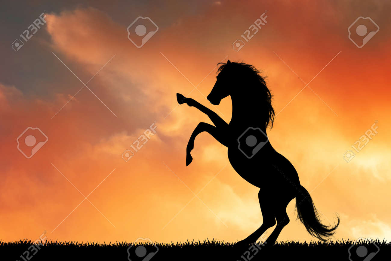 Horse Silhouette At Sunset Stock Photo, Picture and Royalty Free Image.  Image 138257519., image size:1300x867