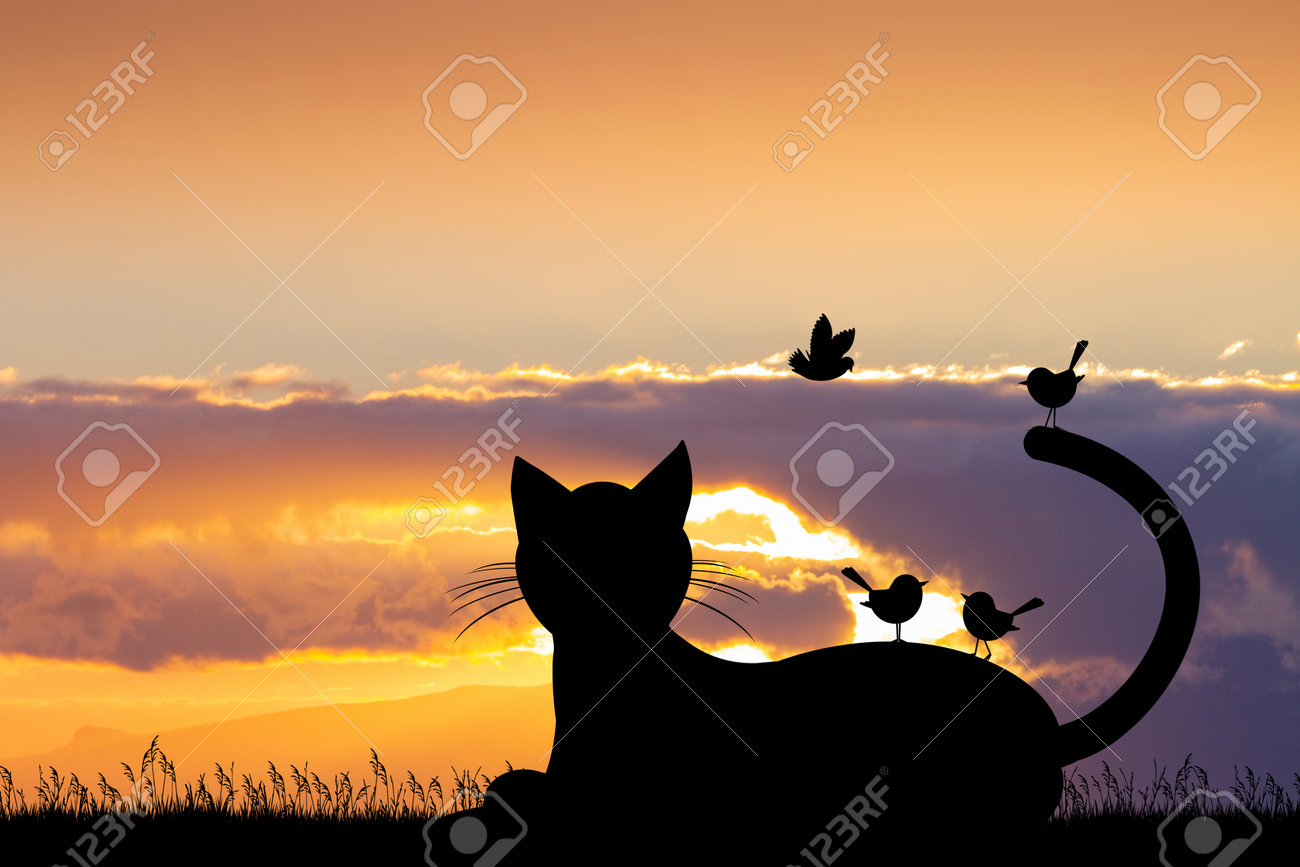 夕暮れ時の猫のシルエットのイラストの写真素材・画像素材 Image 209035894