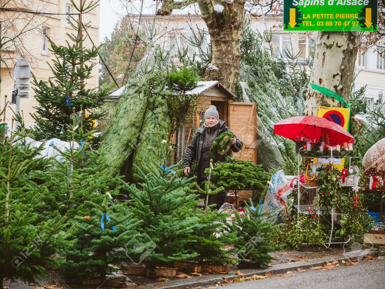 Strasbourg France Dec 4 2017 Christmas Tree Sale At The Stock