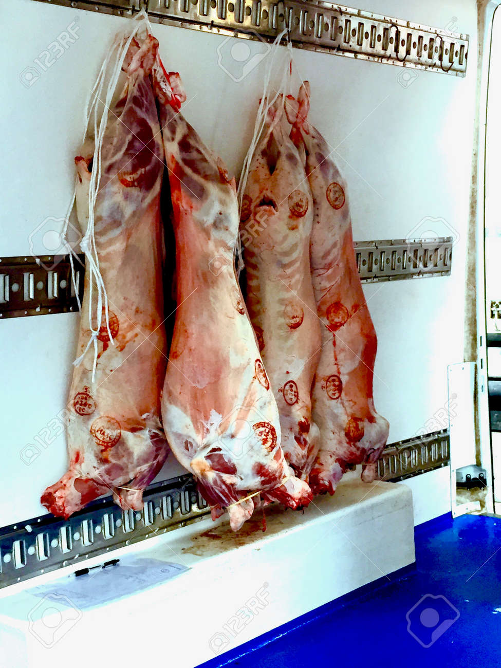 etiam-dictum-ipsum-a-felis