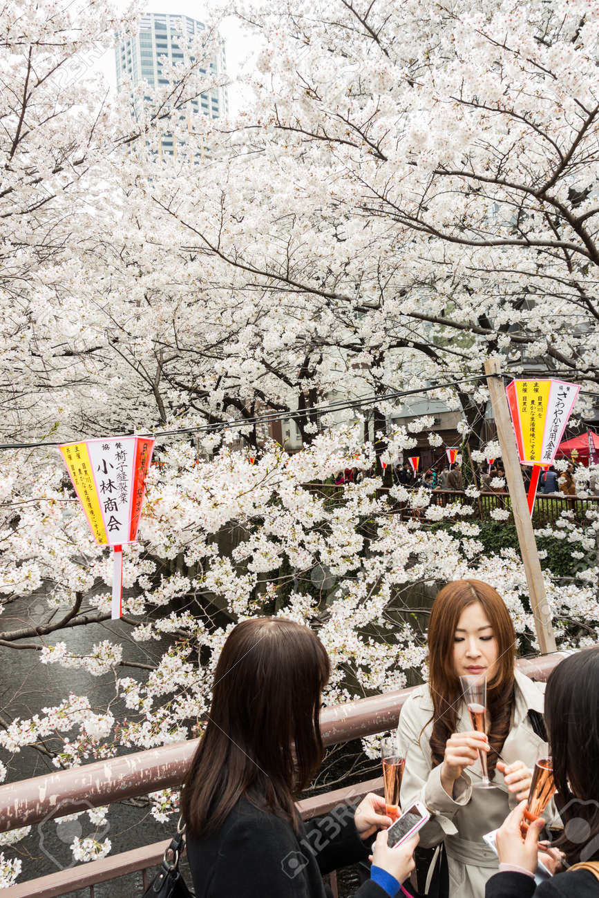 東京 日本 13 年 3 月 24 日さくらに会いに来る日本人東京都中目黒の目黒川沿いの桜 の写真素材 画像素材 Image