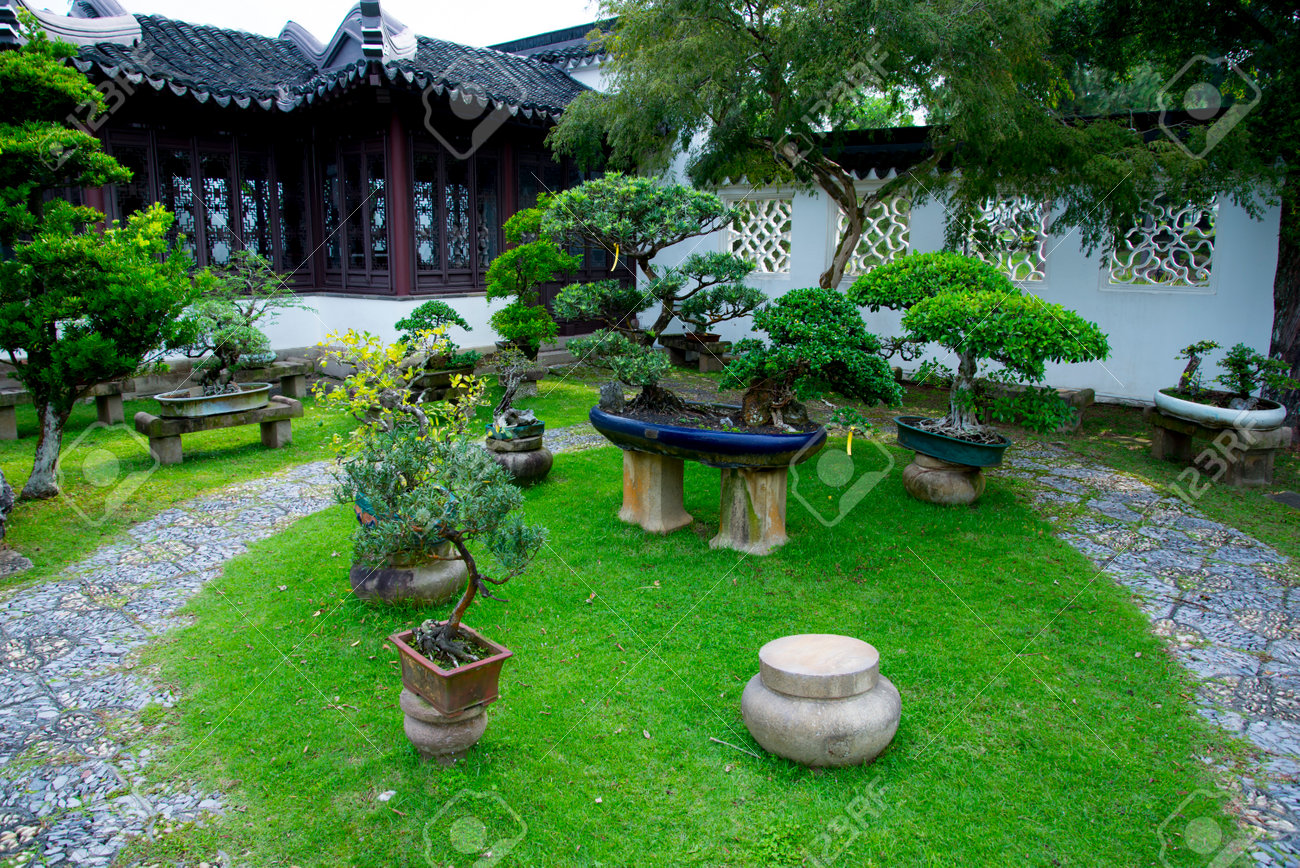 Bonsai Garden Singapore Stock Photo Picture And Royalty Free Image Image 124778152