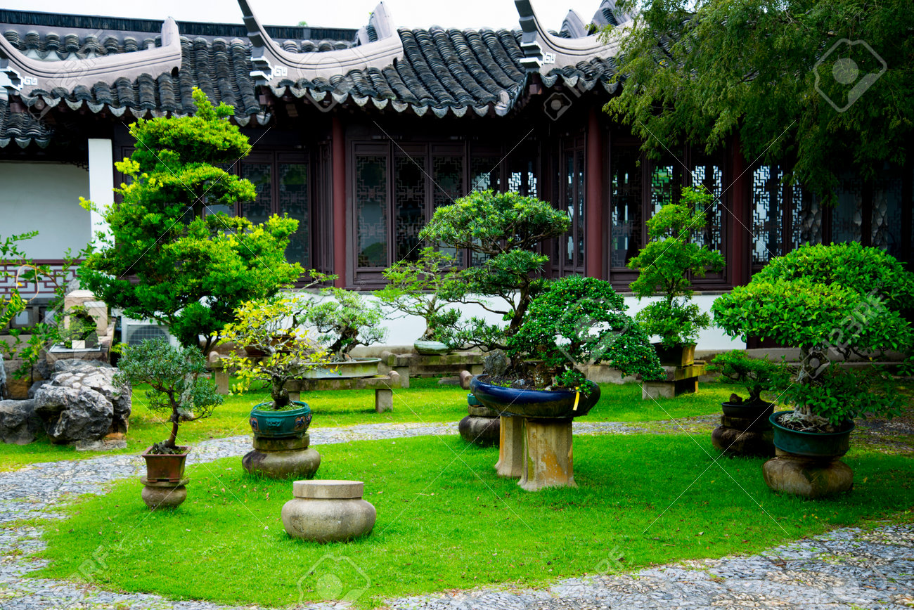 Bonsai Garden Singapore Stock Photo Picture And Royalty Free Image Image 124778153