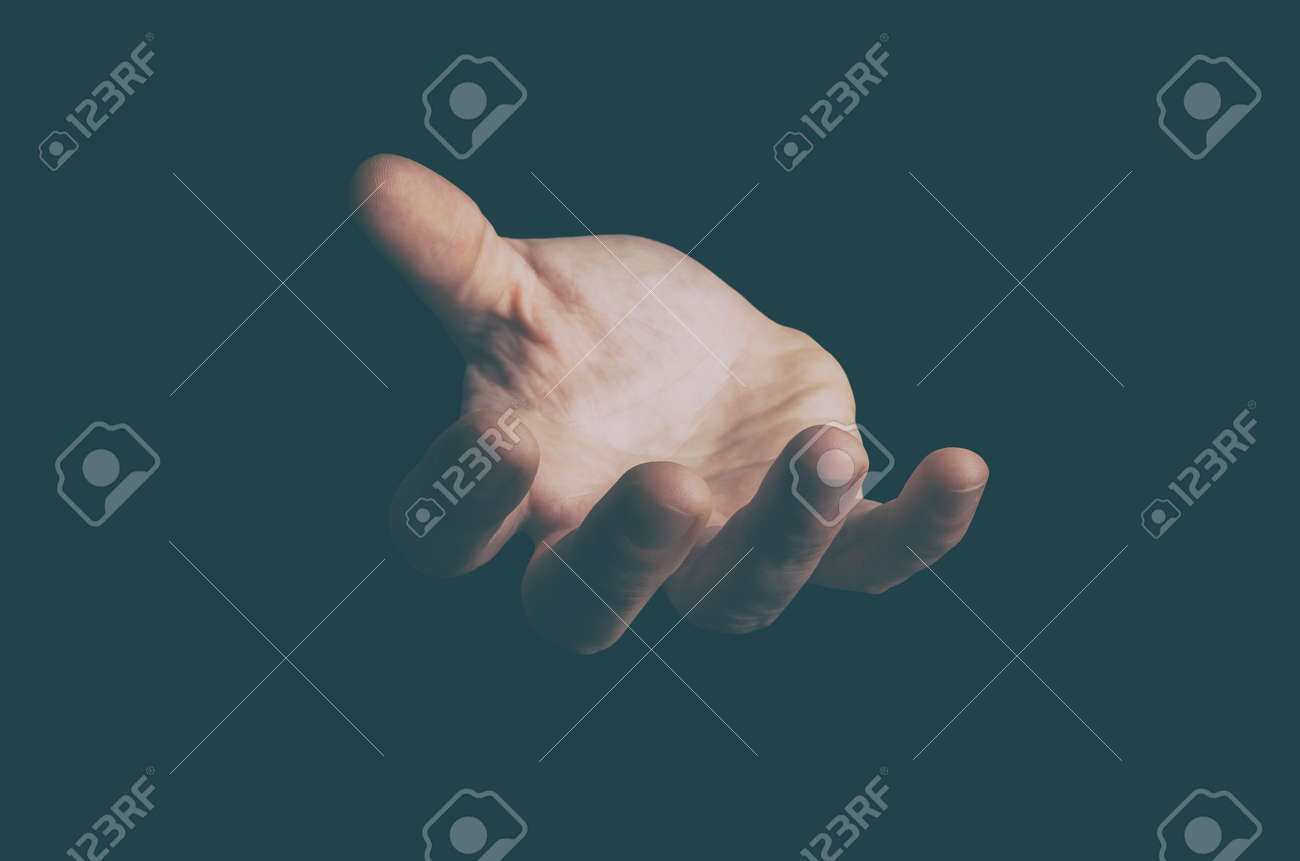 etiam-dictum-ipsum-a-felis