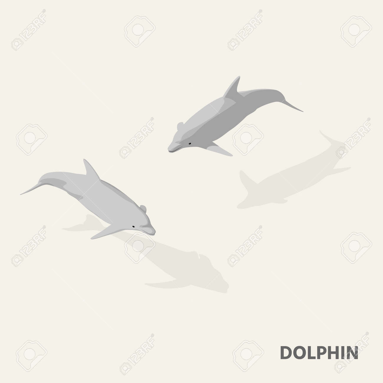 影で等角投影ビューのイルカ のイラスト素材 ベクタ Image