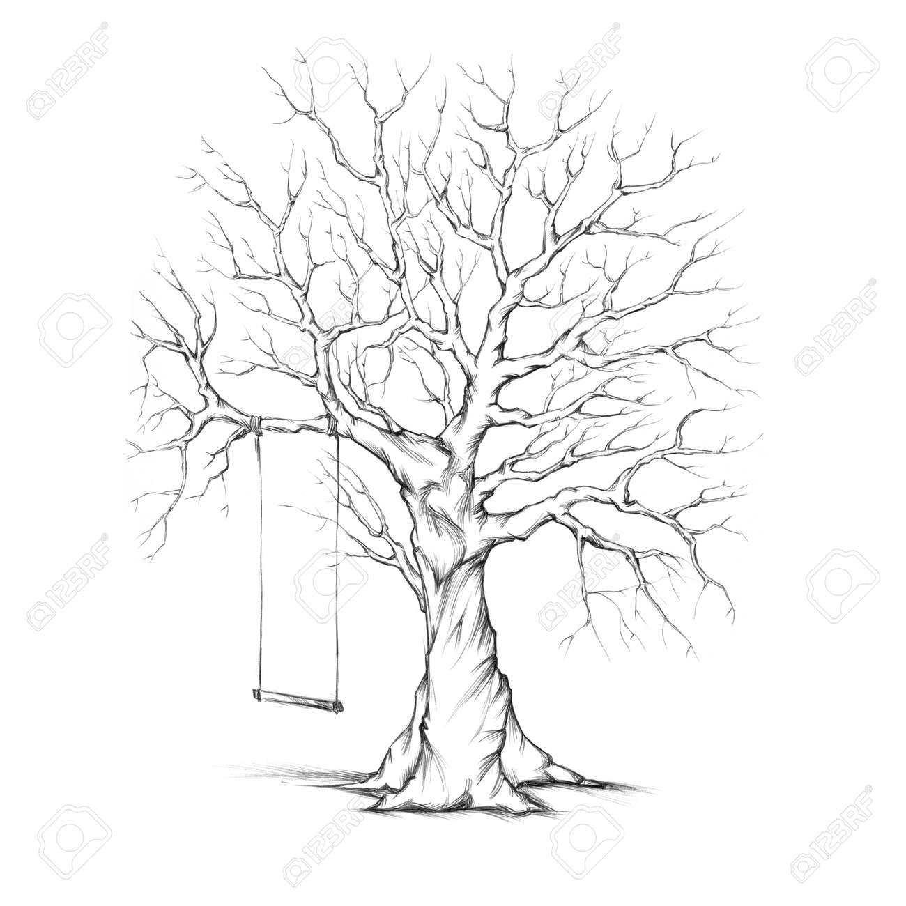 Ilustración De Un árbol Con Un Columpio Fotos, Retratos, Imágenes Y Fotografía De Archivo Libres De Derecho. Image 60395587.