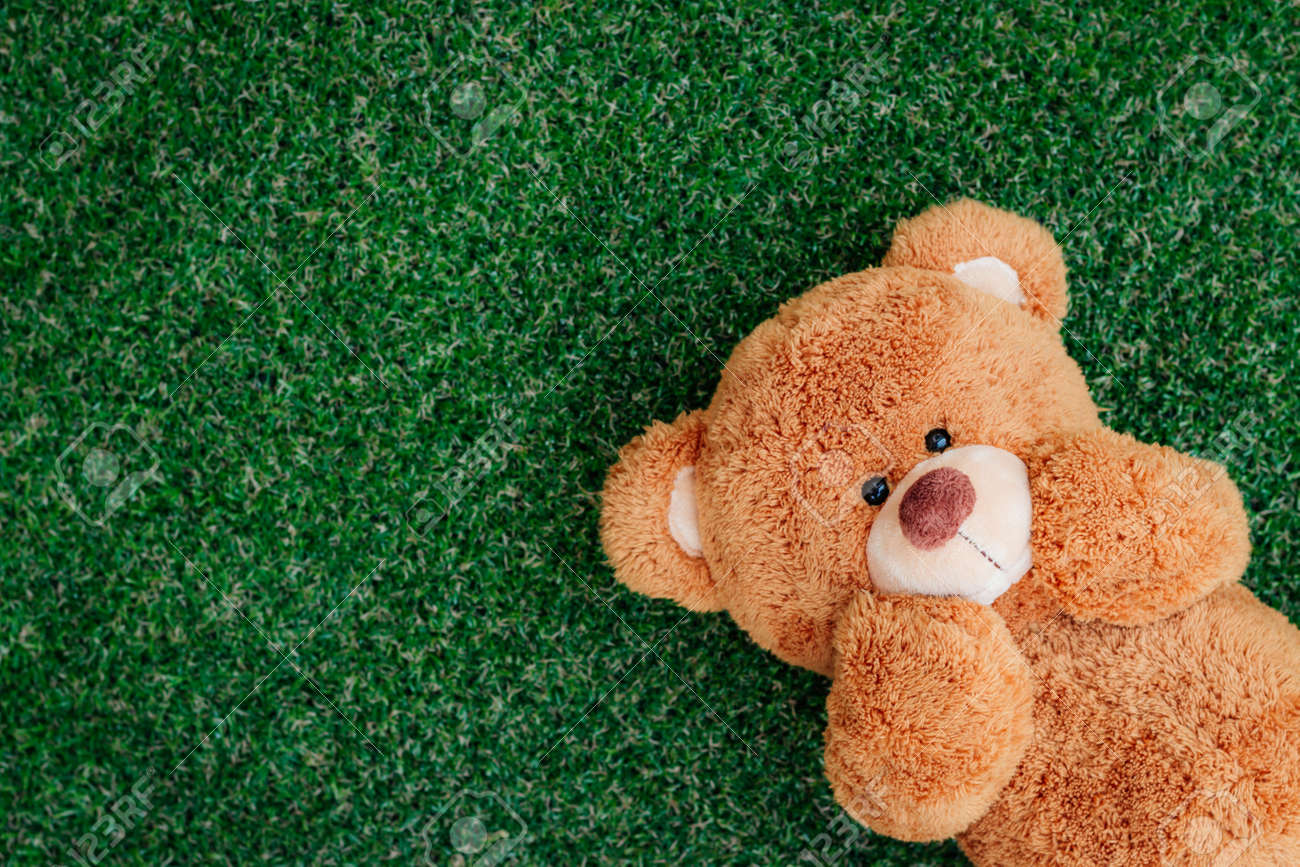 cute teddy bear on green grass background stock photo picture and