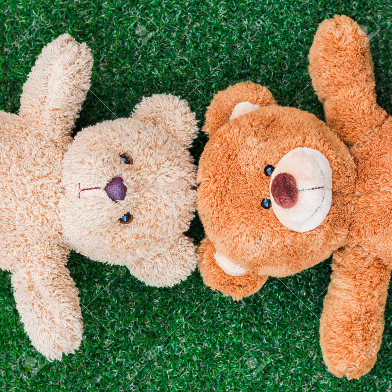 cute teddy bears on