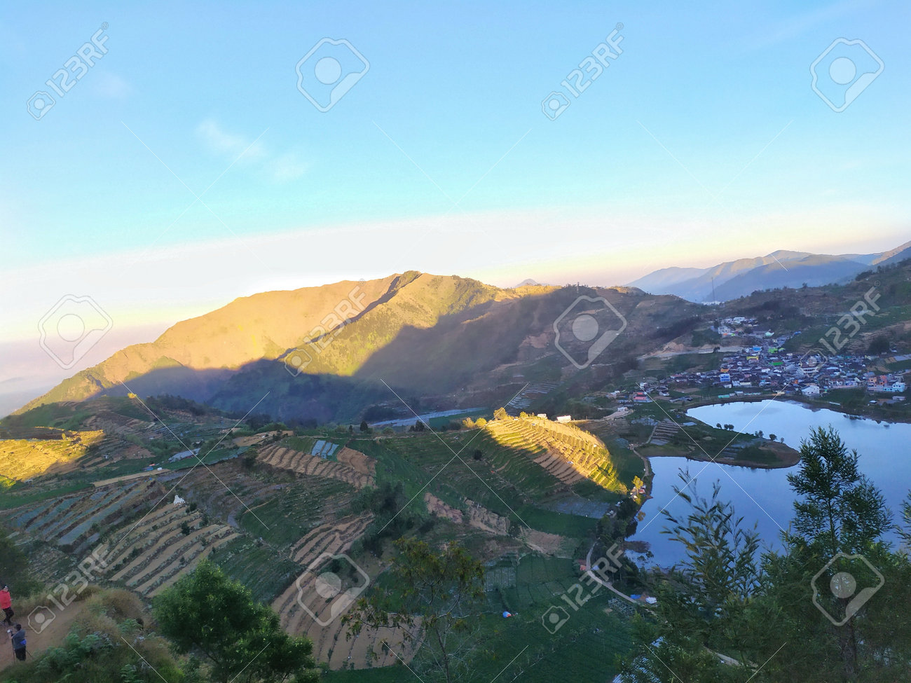 etiam-dictum-ipsum-a-felis