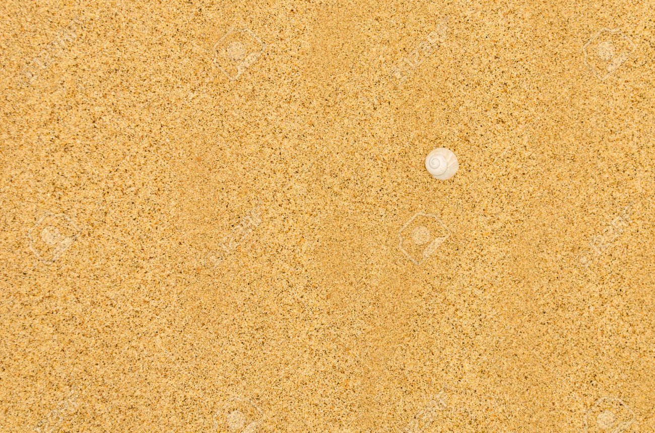 川砂と小さな白いシェルは クローズ アップ の写真素材 画像素材 Image