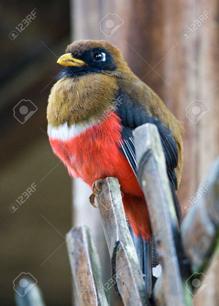 etiam-dictum-ipsum-a-felis