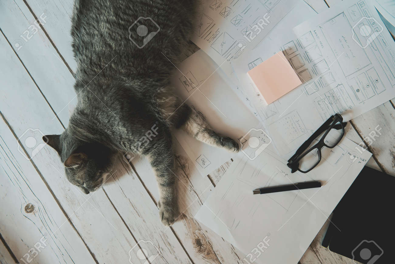 etiam-dictum-ipsum-a-felis