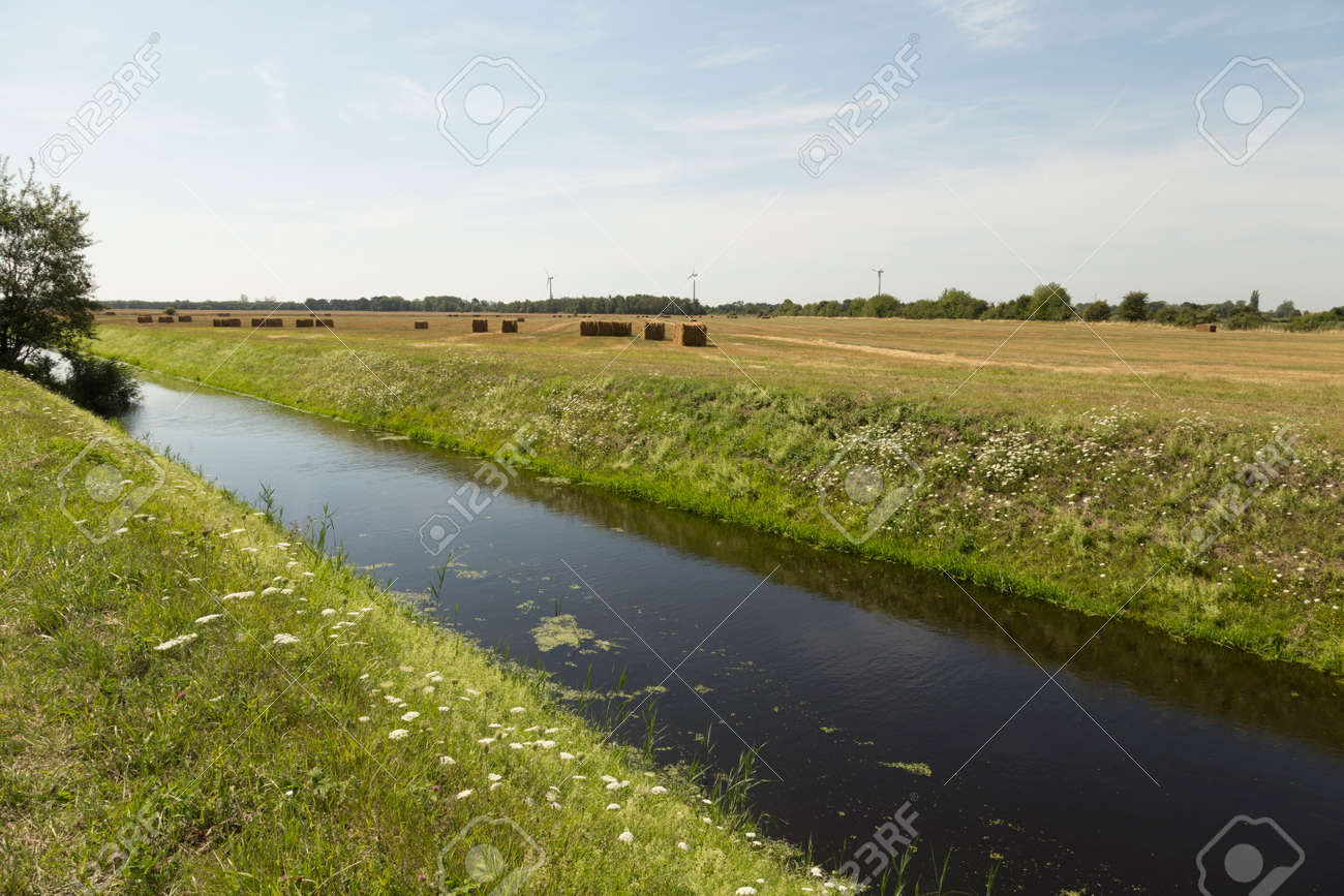 drainage ditch