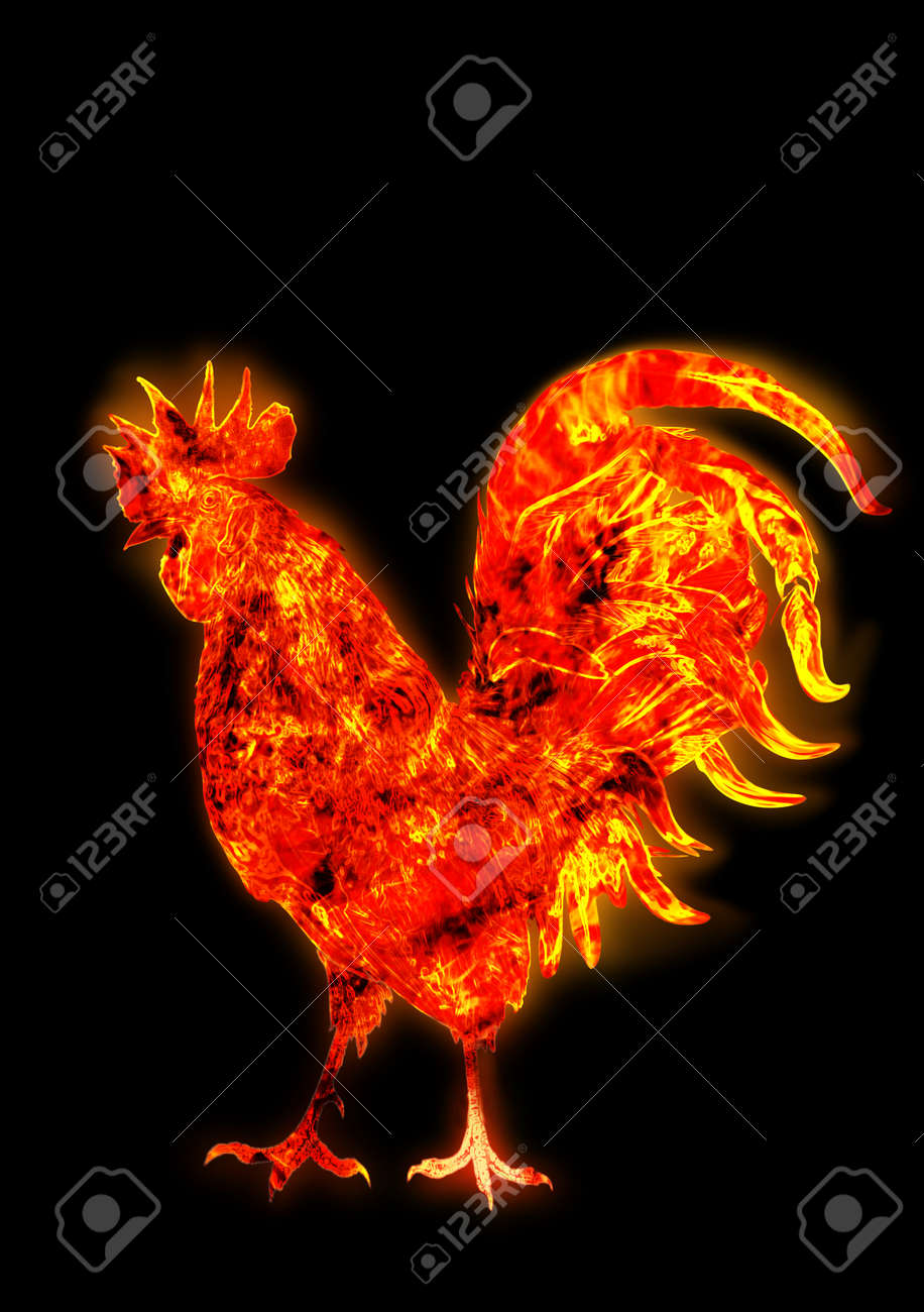 Coq De Feu Coloré Symbole Du Nouvel An Chinois Oiseau De Feu Coq Rouge Happy New Year 2017 Carte