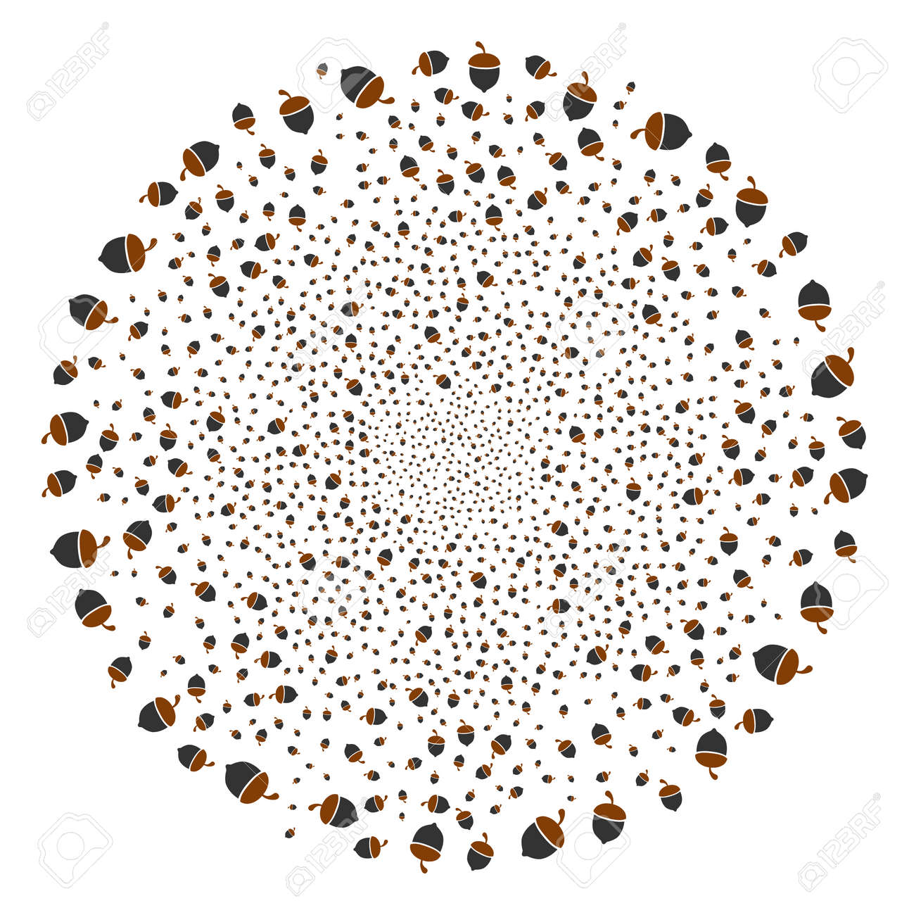 오크 도토리 폭발 구형 클러스터. 로열티 무료 사진, 그림, 이미지 그리고 스톡포토그래피. Image 96045194