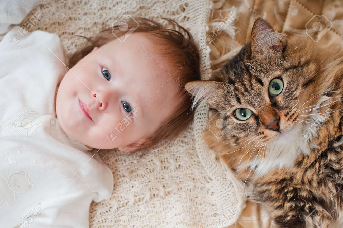 Das Grosse Haus Katze In Der Nahe Neugeborenes Baby Liegend