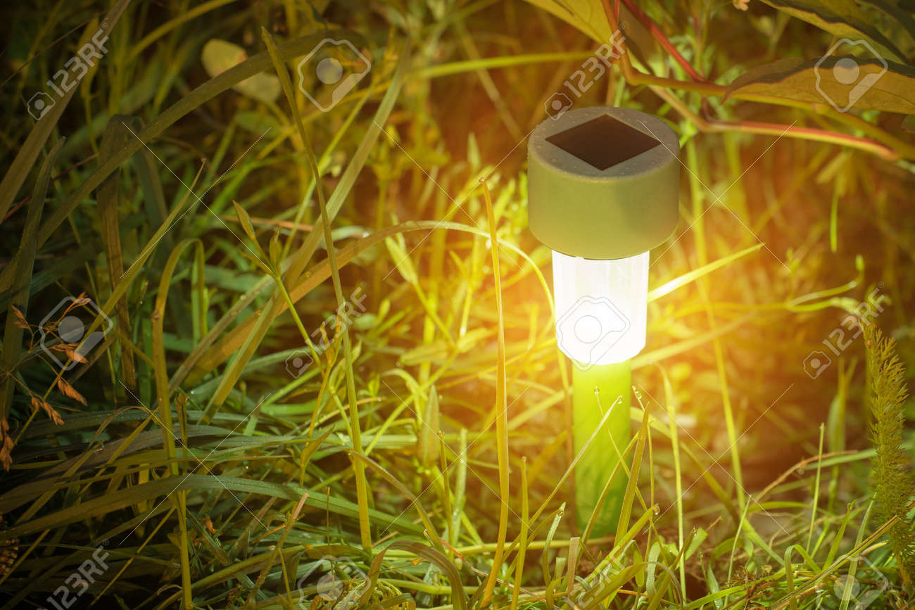 Garden Lights With Solar Battery Closeup Shot