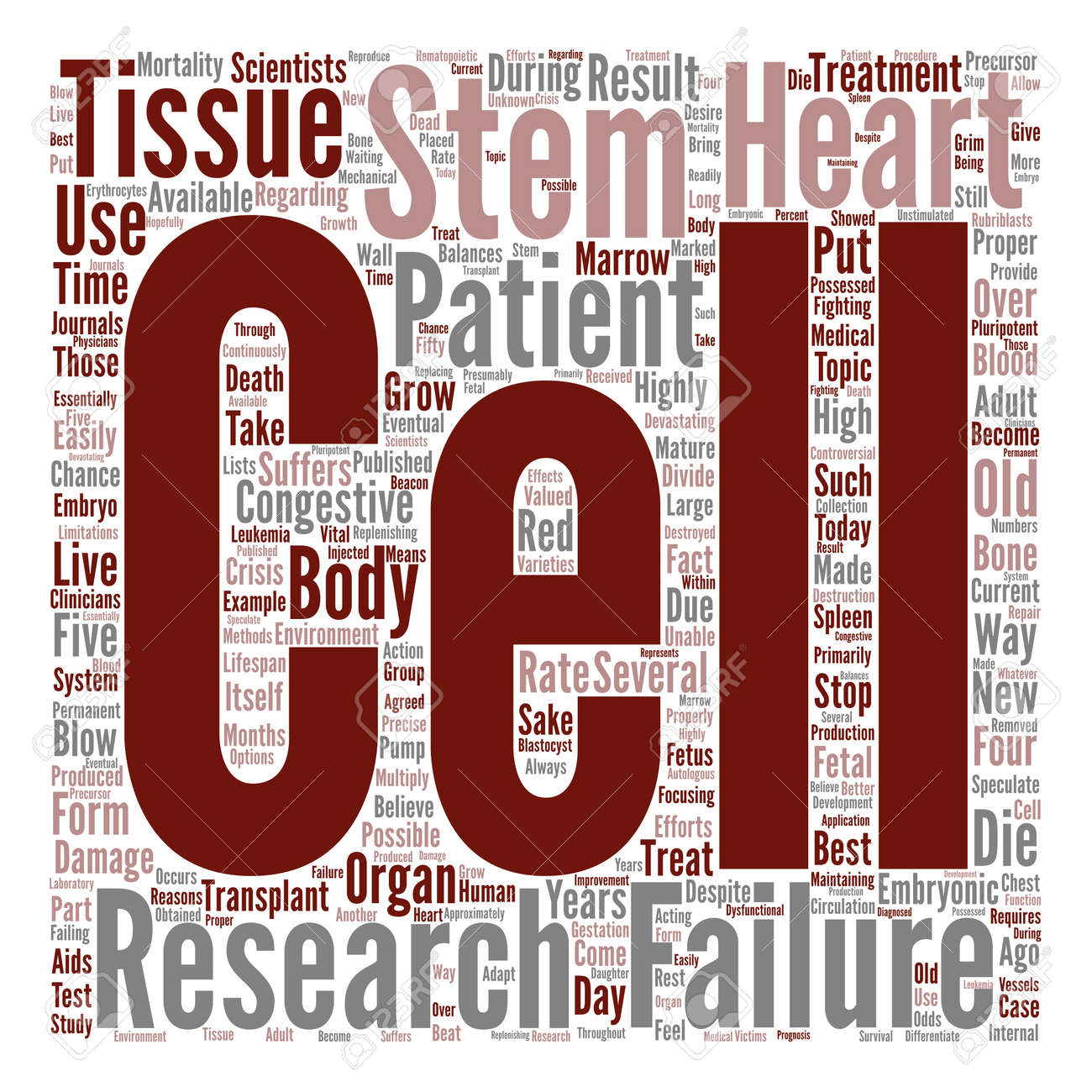 What can stem cells be used to treat