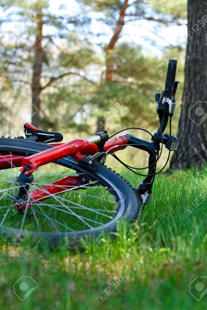 green and red bike