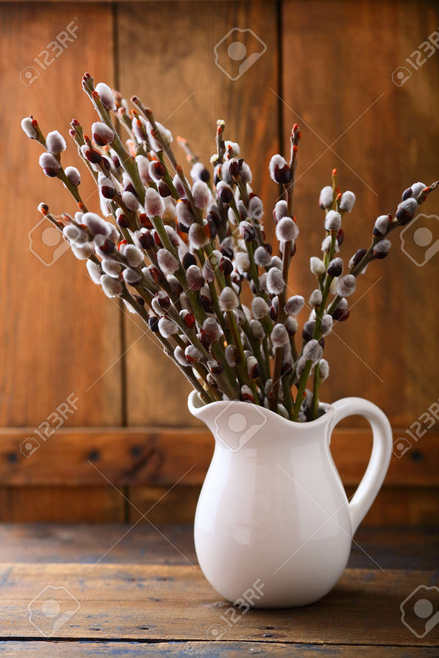 pussy willow bouquet Influences on teen religion