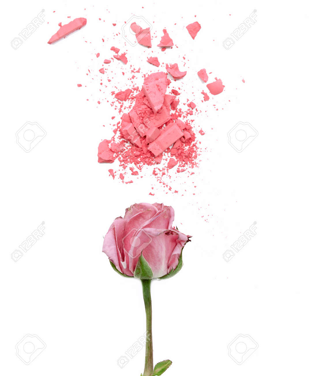 白地ピンク薔薇と化粧品粉末 の写真素材 画像素材 Image 白地ピンク薔薇と化粧品粉末 の写真素材 画像素材 Image