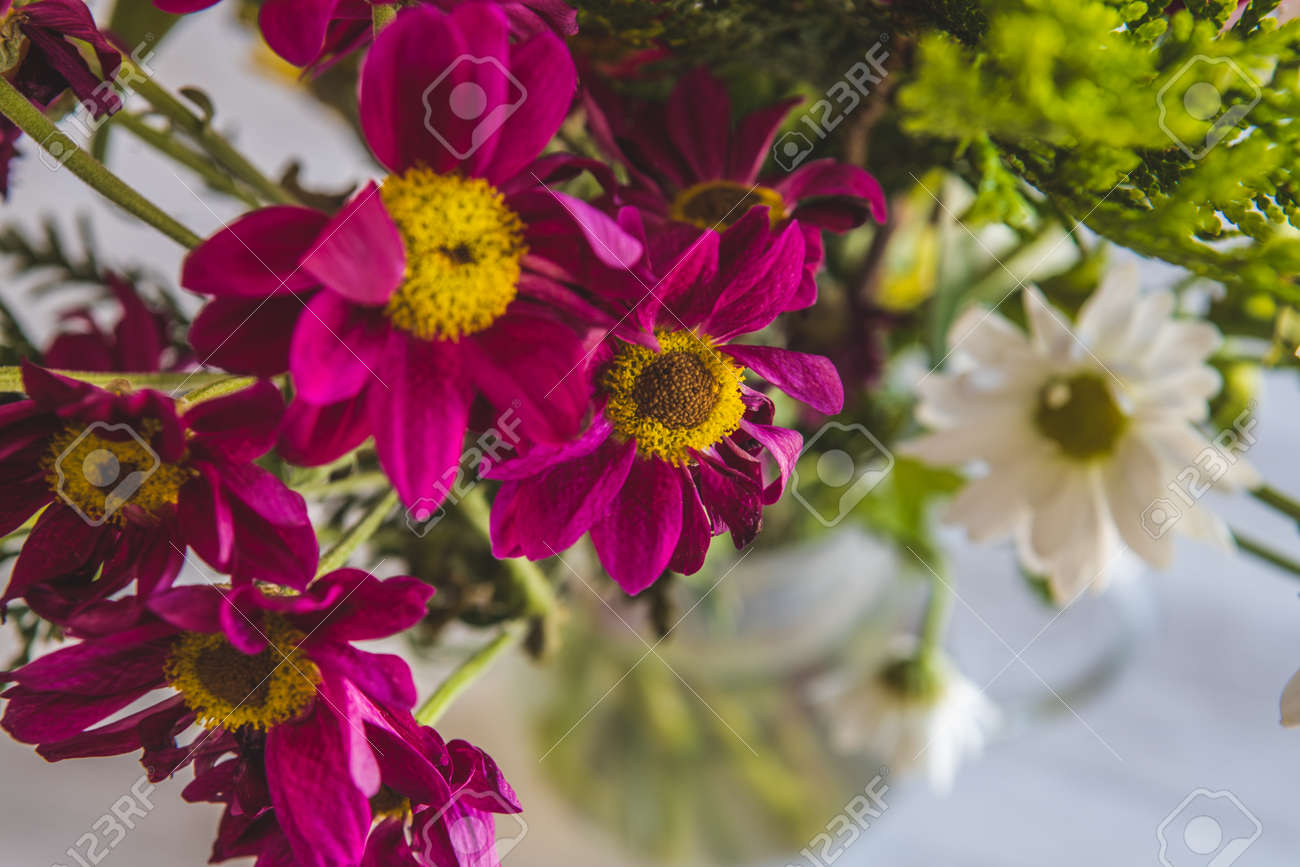 natural flowers of striking