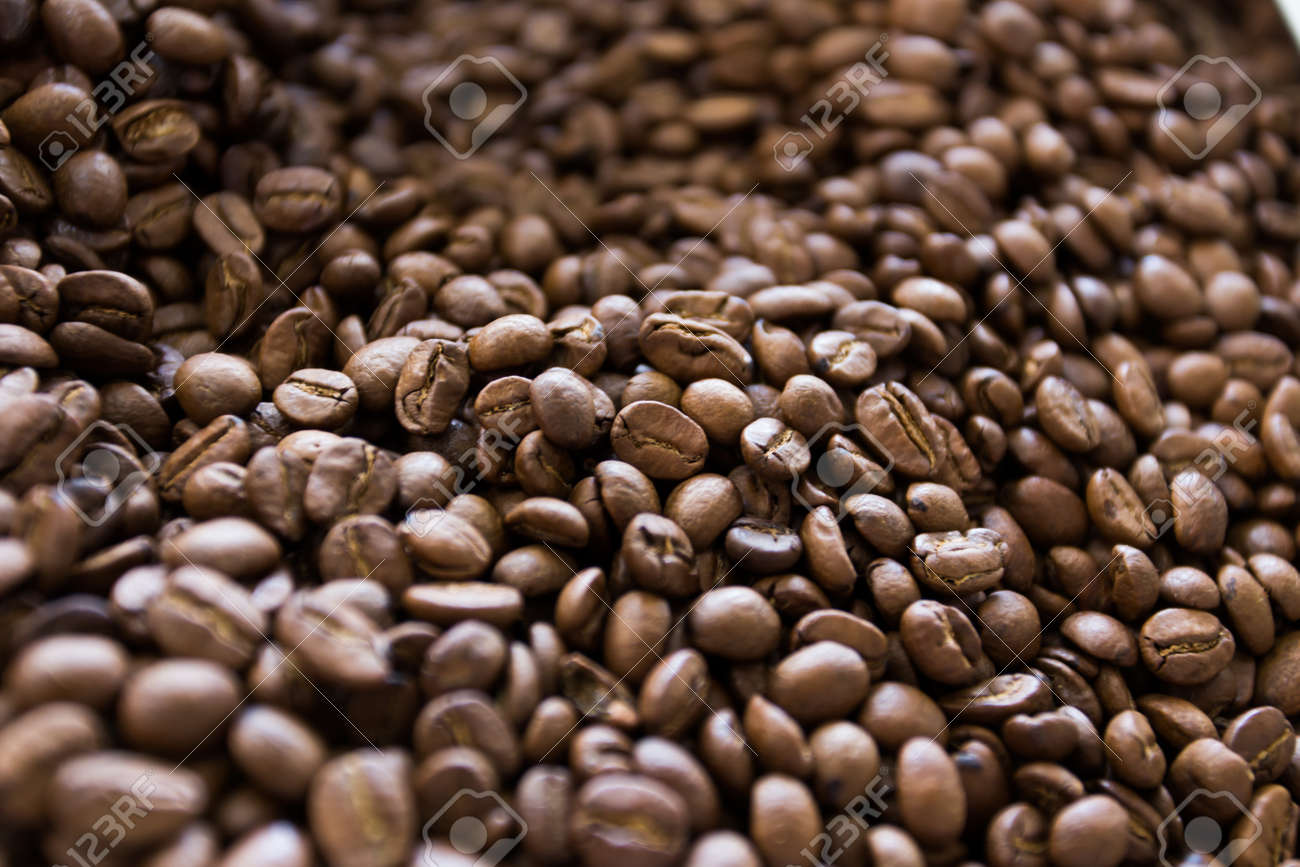kopi luwak coffee stock photo picture and royalty free image image