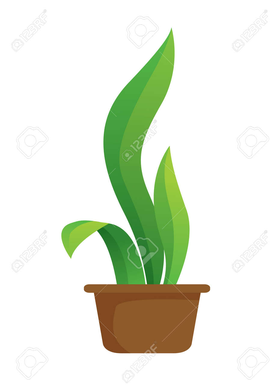 漫画のスタイルの鉢植えな植物のベクトル イラスト のイラスト素材 ベクタ Image