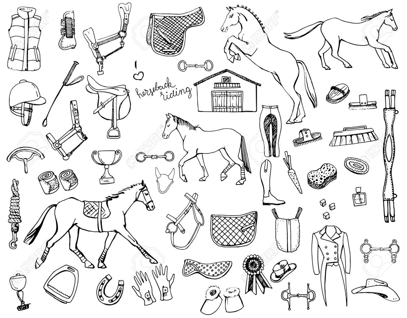 doodle grooming tools