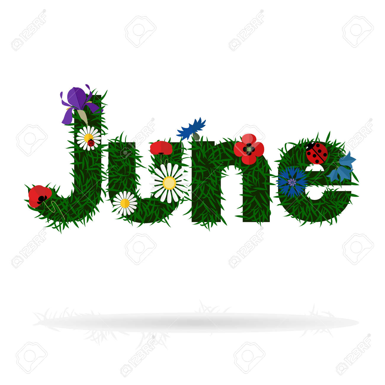 ユニークイラスト 6月の花 最高の動物画像 ユニークイラスト 6月の花 最高の動物画像