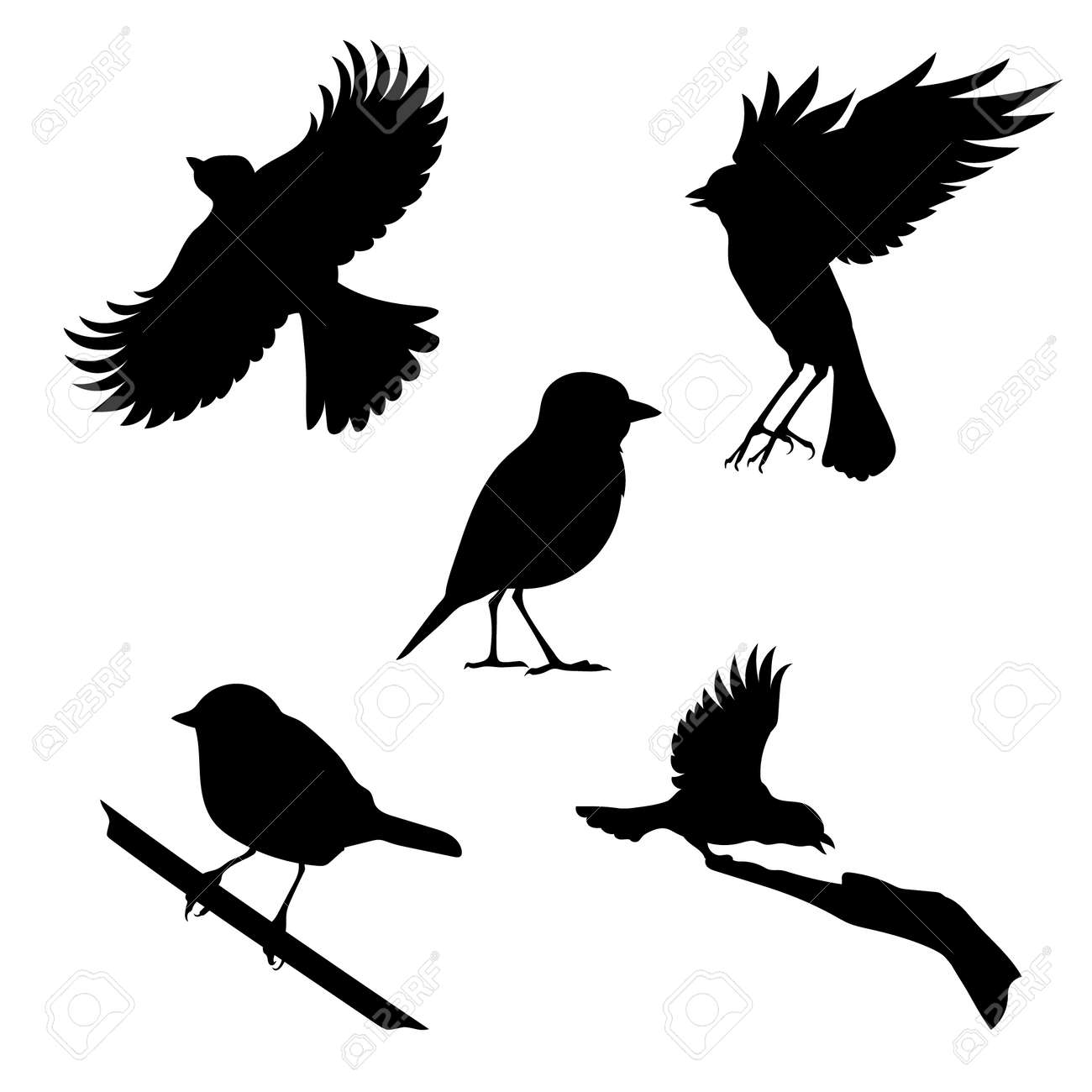 シジュウカラはシルエット ベクトルのセット 動物アイコンのコレクション のイラスト素材 ベクタ Image