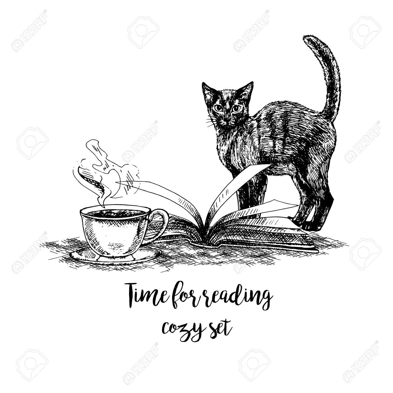 Disegnata A Mano Libro Gatto E Una Tazza Di Tè Schizzi Retrò Isolato Raccolta Hypster Vintage Progettazione Grafica Doodle Linea Immagini Di