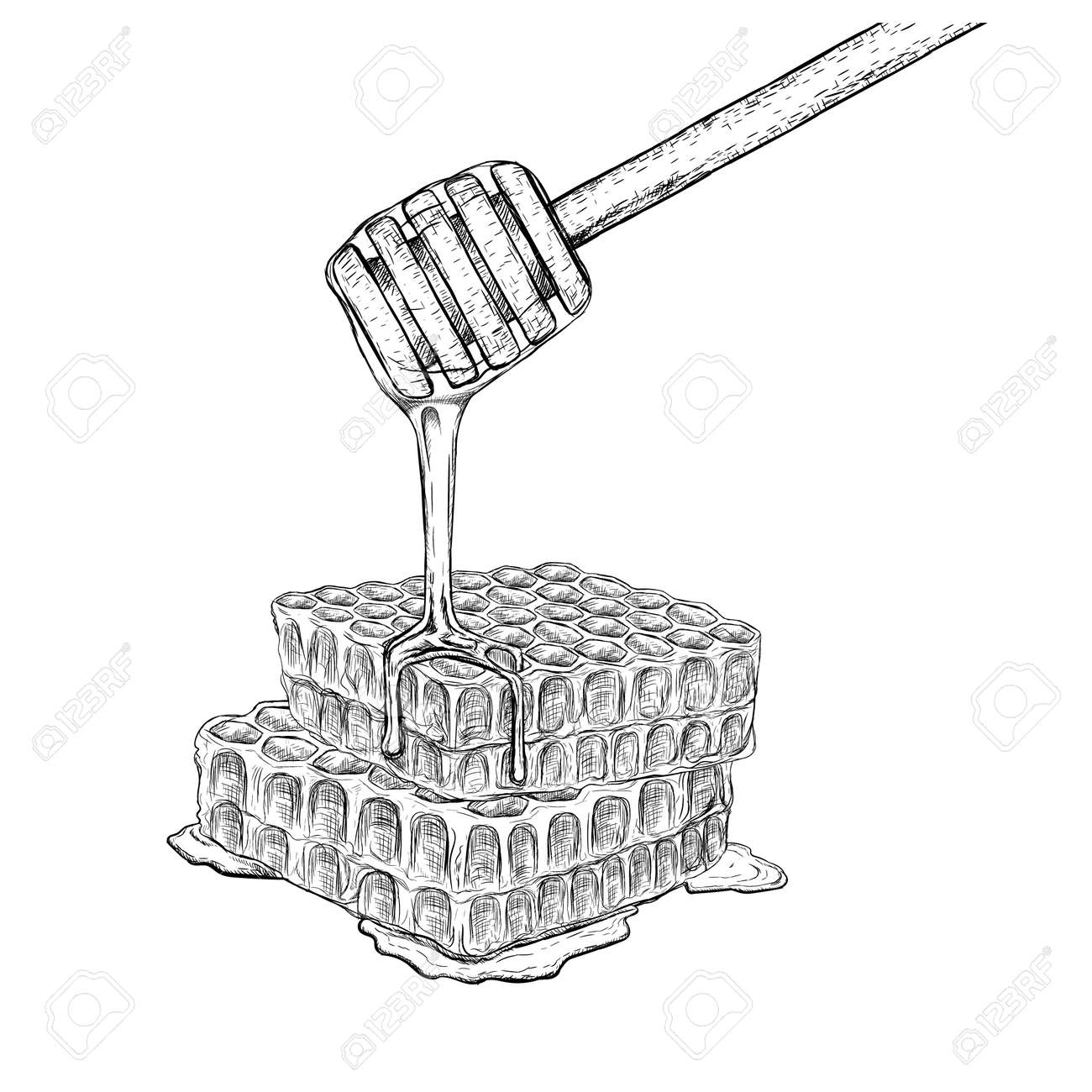 Hand drawn set of honeycomb with honey stick sketches isolated black and white graphic