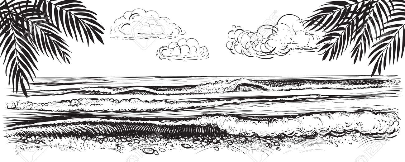 Panoramablick Auf Den Strand Vector Illustration Von Ozean Oder Meereswellen Mit Grossen Kammen Und Schaum Schwarzweiss Zeichnung Der Kuste Mit Palmblattern Lizenzfrei Nutzbare Svg Vektorgrafiken Clip Arts Illustrationen Image 85417812 Panoramablick Auf Den Strand Vector Illustration Von Ozean Oder Meereswellen Mit Grossen Kammen Und Schaum Schwarzweiss Zeichnung Der Kuste Mit Palmblattern Lizenzfrei Nutzbare Svg Vektorgrafiken Clip Arts Illustrationen Image 85417812