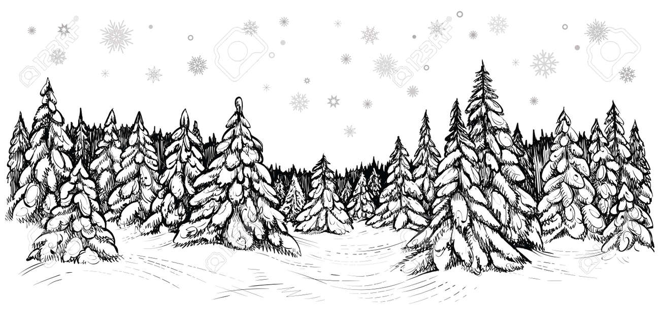 雪モミのベクトルイラスト 雪に覆われた冬の森 手描きのスケッチ のイラスト素材 ベクタ Image