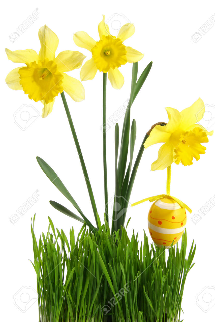 concept of spring season and french easter holidays: Green grass with bouquet of flowers and hanging Easter egg cut out and isolated on white background - 165941307 concept of spring season and french easter holidays: Green grass with bouquet of flowers and hanging Easter egg cut out and isolated on white background - 165941307