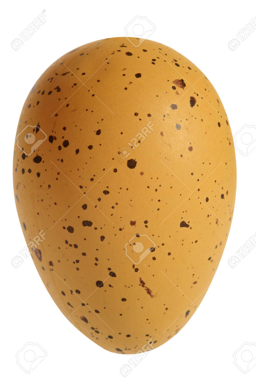 Easter celebration concept: Decorated chicken egg, cut out and isolated on white background - 165942220 Easter celebration concept: Decorated chicken egg, cut out and isolated on white background - 165942220