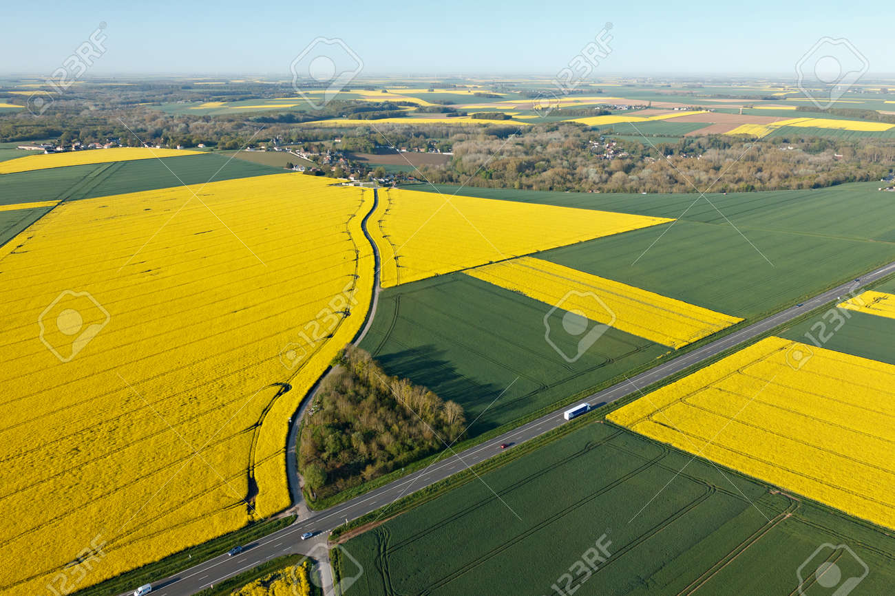 rapeseed fields seen from the sky in the fields of Beauce with the national road, town of Gué-de-Longroi, department of Eure-et-Loir in Center-Val de Loire, France. - 166832606 rapeseed fields seen from the sky in the fields of Beauce with the national road, town of Gué-de-Longroi, department of Eure-et-Loir in Center-Val de Loire, France. - 166832606