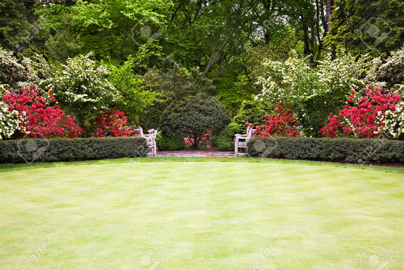 広い芝生公園で の写真素材 画像素材 Image 22486232