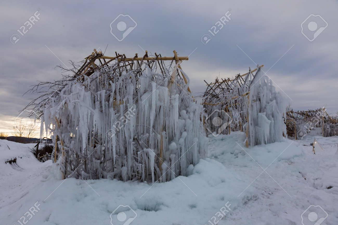 etiam-dictum-ipsum-a-felis