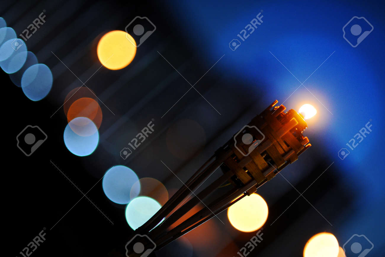 etiam-dictum-ipsum-a-felis