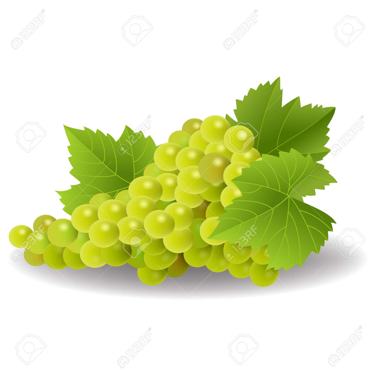 Grappe De Raisin Jaune Ou Vert Avec Des Feuilles De Vigne Isole Sur Fond Blanc Clip Art Libres De Droits Vecteurs Et Illustration Image