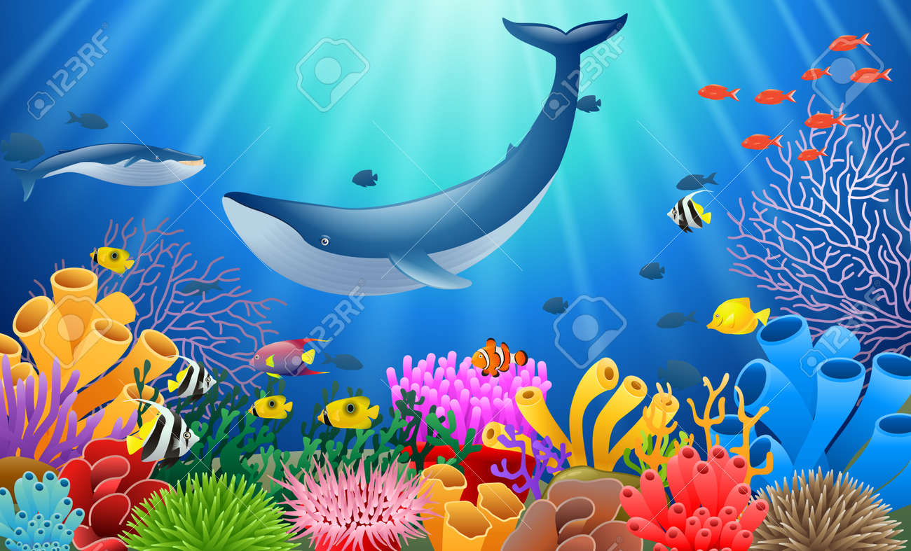cartoon whale with coral reef underwater in ocean royalty free