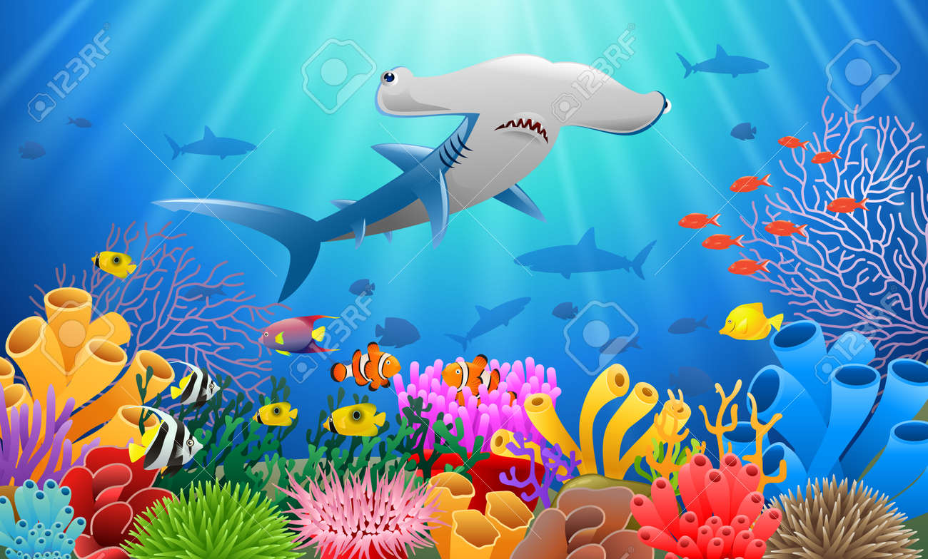 cartoon hammer shark with coral reef underwater in ocean royalty