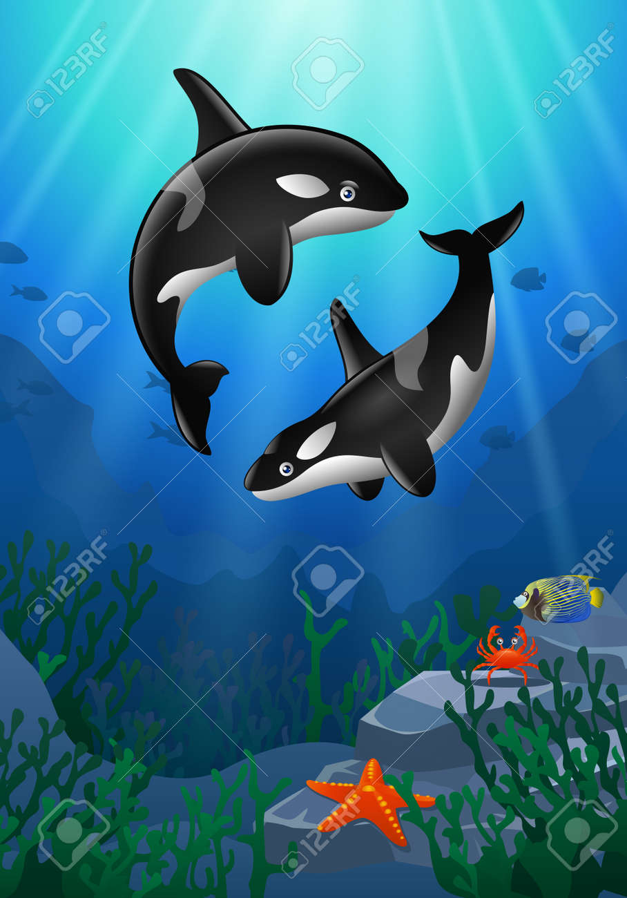 Cartoon Killer Whale With Coral Reef Underwater In Ocean. Royalty Free SVG,  Cliparts, Vectors, and Stock Illustration. Image 87737471., image size:908x1300