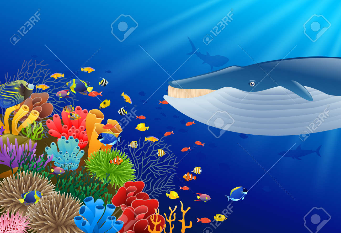 クジラの海の下でサンゴ礁と漫画 のイラスト素材 ベクタ Image
