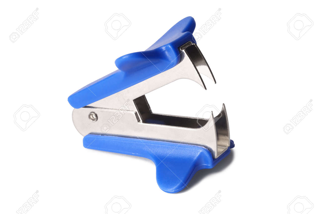 staple stock