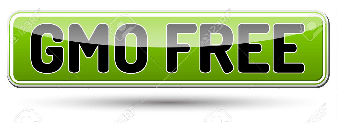 シャドウと Gmo フリーの 遺伝子組み換え作物 光沢のあるバナーのイラスト素材 ベクタ Image