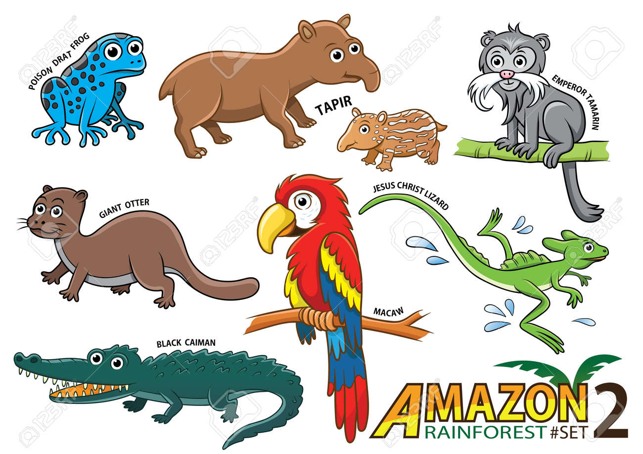かわいい漫画の動物や白い背景に分離された南アメリカのアマゾン地域で鳥のセットです 毒投げ矢のカエル バク 皇帝タマリン オオカワウソ コンゴウインコ イエス キリストのトカゲ クロカイマンのイラスト素材 ベクタ Image