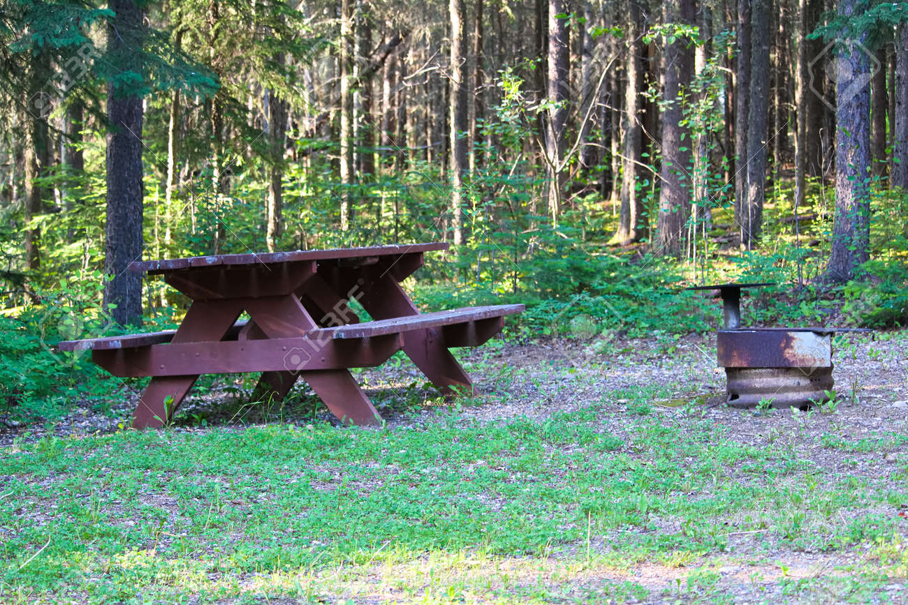 A Picnic Table And Fire Ring At A Campsite Stock Photo Picture And Royalty Free Image Image 88566576